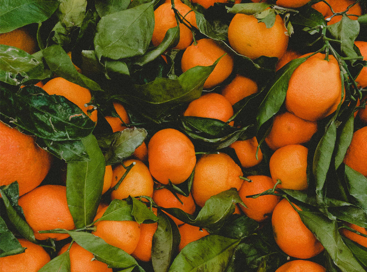 هناك مجموعة من نماذج اللافتات الإعلانية للموقع تجدها