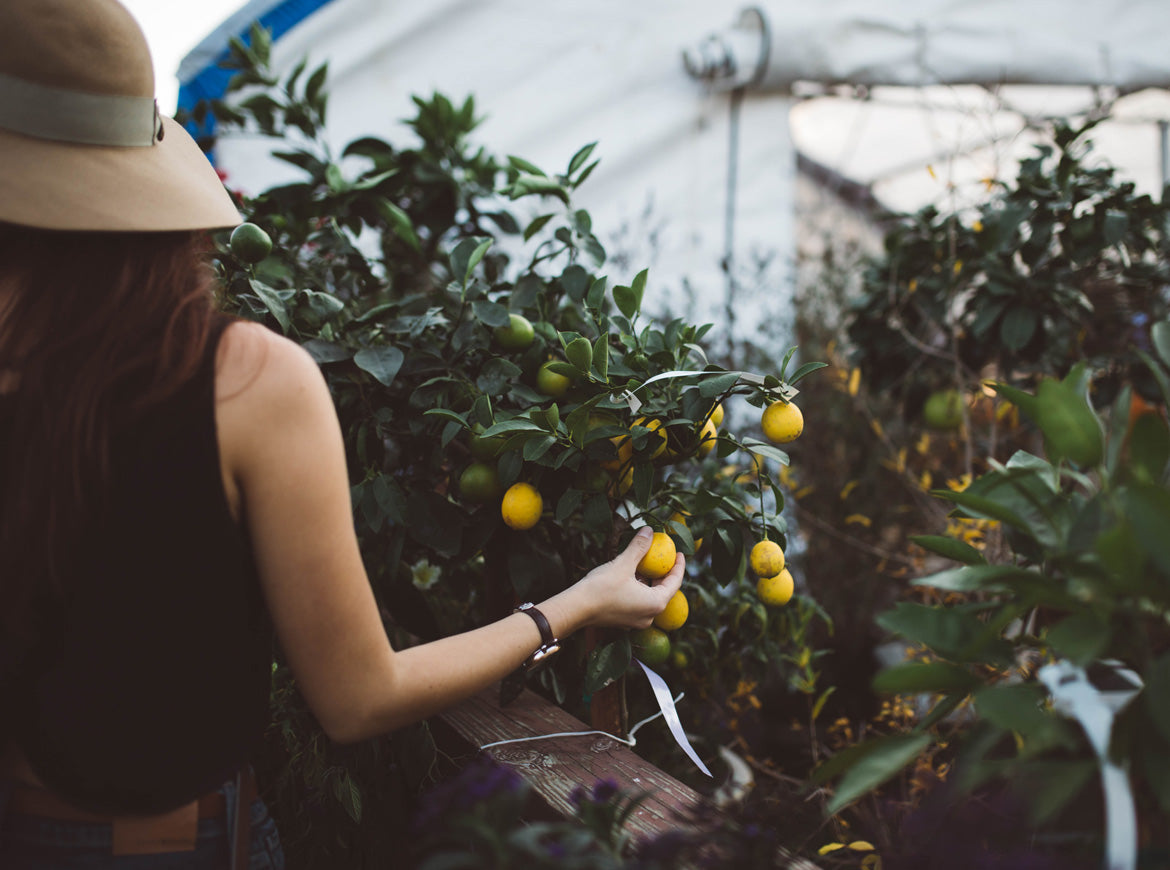التقطه من أعمالنا المفضلة الرسم والتصوير